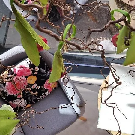 Stoiser -parkplatz Inbegriffen! Ξενοδοχείο