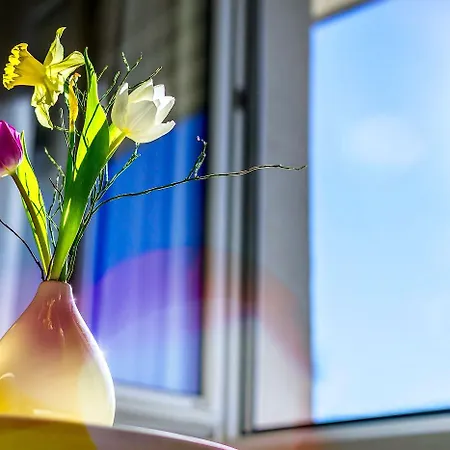 Hotel Stoiser -parkplatz Inbegriffen! Graz